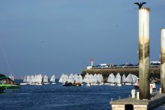 Opti Regatta