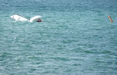 Opti Regatta
