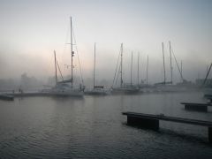 Frost und Nebel