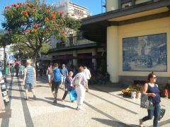 Markthalle Funchal