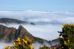 Pico do Arieiro