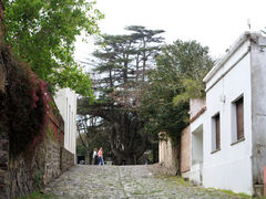 Colonia2