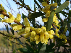 Frueling Piriapolis