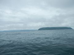 Kodiak Island (ein Teil davon)
