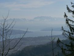 Zürichsee