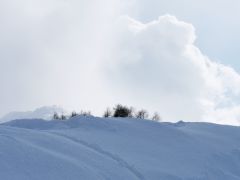 Davos