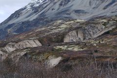 Haines Hwy