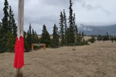 Carcross Desert