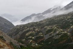 Whitepass