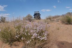 Grenze zwischen Arizona und Utah