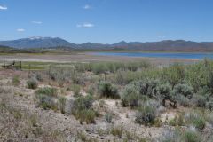 Wild Horse Reservoir