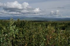 Dalton Hwy beim Finger Rock