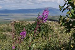 Dalton Hwy beim Finger Rock