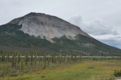 Dalton Hwy