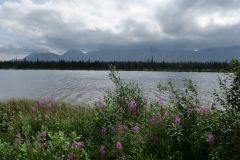 George Parks Hwy