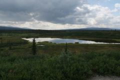 Denali Hwy