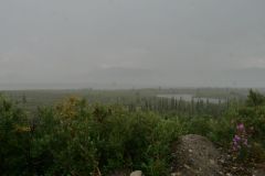 Denali Hwy