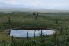 Denali Hwy