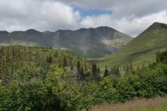 Denali Hwy