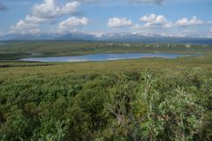 Denali Hwy
