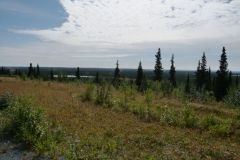 Richardson Hwy