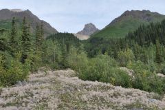 Kennecott