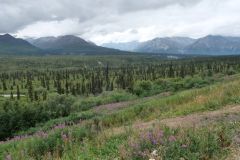 Glenn Hwy