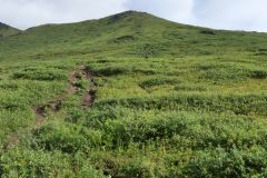 Marmot Mountain Trail
