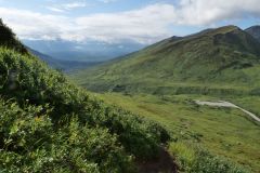 Marmot Mountain Trail