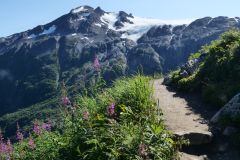 Exit Glacier