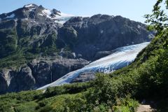 Exit Glacier