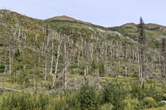 Sterling Hwy