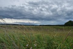 Cook Inlet