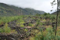 Sterling Hwy