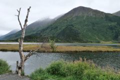 Tern Lake