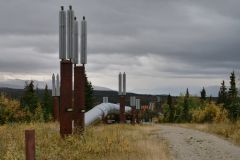Trans Alaska Pipeline