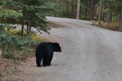 Kusawa Lake Campground
