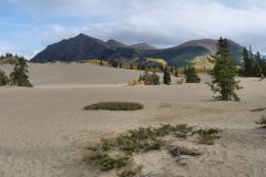Klondike Hwy Carcross Desert