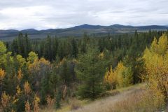 Alaska Hwy