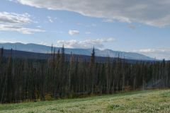 Alaska Hwy