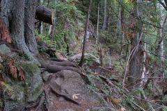 Serpent's Back Trail